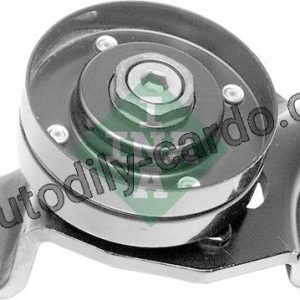 Napínací kladka INA (IN 531074310) – RENAULT SAFRANE 2.2DT