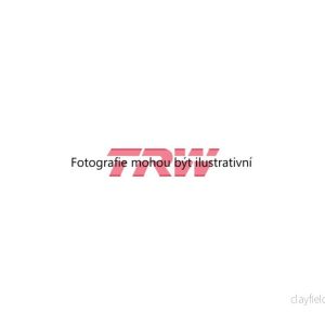 Brzdové destičky (TRW GDB1873) 4890011