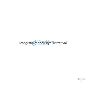 Palivový filtr (DONALDSON P554620) 3052316