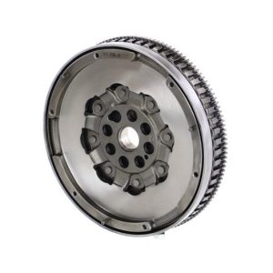 Dvouhmotový setrvačník LUK 415079610