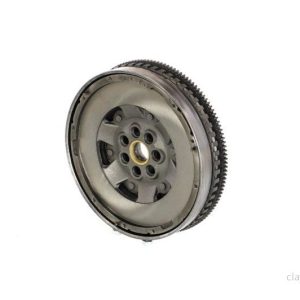 Dvouhmotový setrvačník LUK 415038310