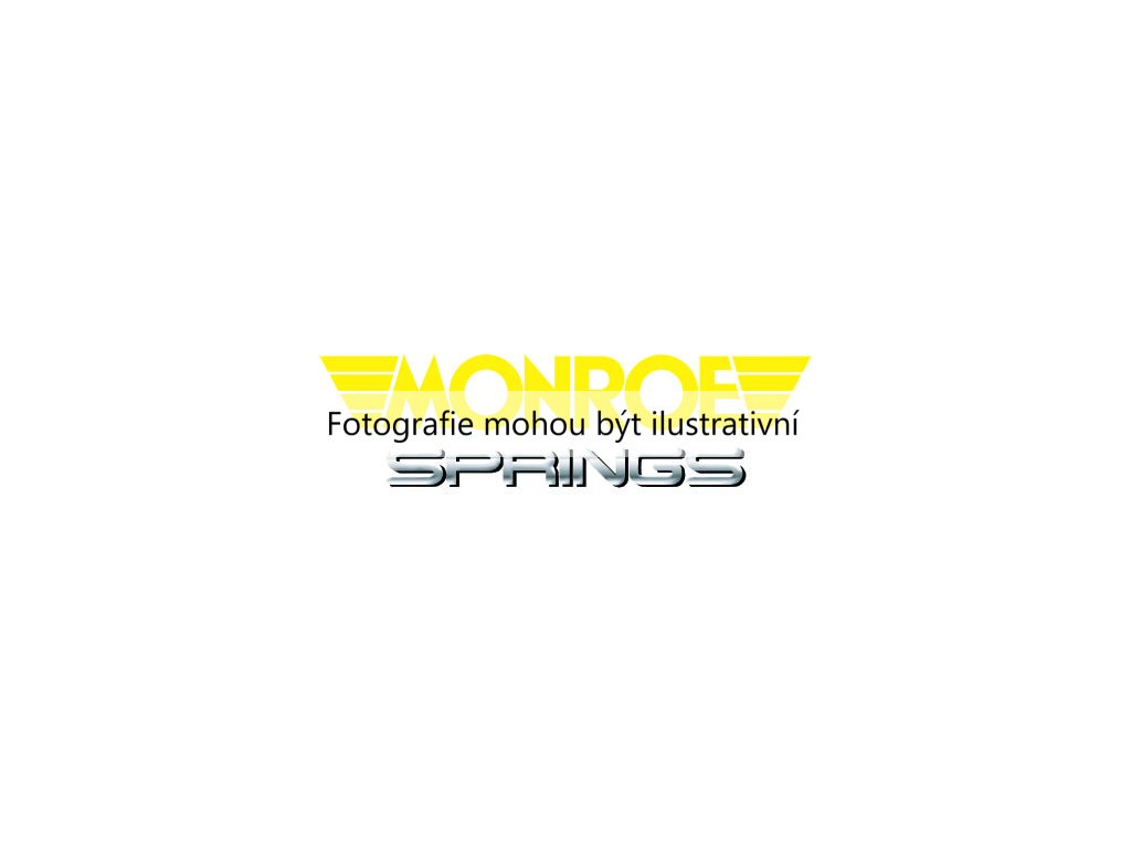 Tlumič pérování, VAN-MAGNUM (MONROE V2103) 6938857