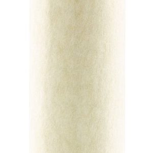 MF CF510 Pojistná vložka filtru vzduchu MANN